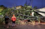 Suben a 16 los muertos por temporal que afectó a Argentina y Uruguay