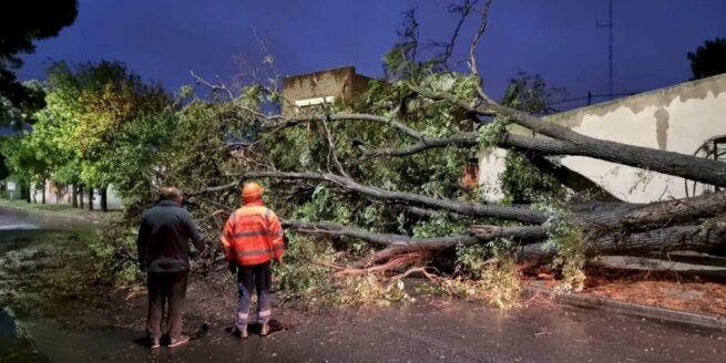 Suben a 16 los muertos por temporal que afectó a Argentina y Uruguay