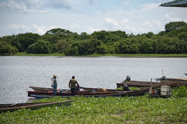 Así mejoraría la comercialización de alimentos de la Ciénaga de Zapatosa