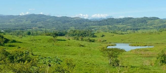MinAgricultura anuncia que Zonas de Reserva Campesina podrán constituirse en Zonas de Reserva Forestal ley segunda