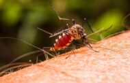MinSalud establece nuevos lineamentos para la prevención y control de la malaria en Colombia