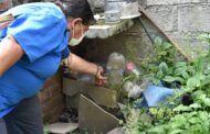 MiniSalud invita a intensificar medidas de control del dengue en temporada de navidad y fin de año