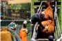 Al 99 % de cobertura llegó el segundo ciclo de vacunación contra fiebre aftosa y brucelosis bovina