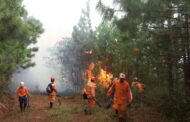 Colombia alerta por riesgo de incendios forestales