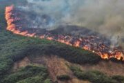 Procuraduría cuestiona adecuada prevención y atención de emergencias de incendios forestales por parte de las autoridades