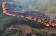 Procuraduría cuestiona adecuada prevención y atención de emergencias de incendios forestales por parte de las autoridades