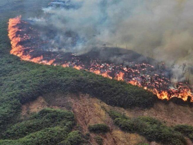 Procuraduría cuestiona adecuada prevención y atención de emergencias de incendios forestales por parte de las autoridades