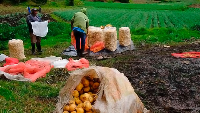 La invitación a las entidades a usar los catálogos de venta de una amplia variedad de productos hechos por familias campesinas