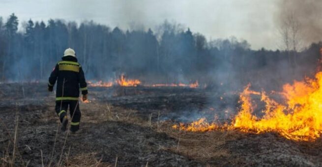 Para atender emergencias por incendios, Gobierno emitirá un decreto