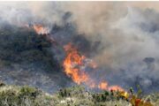 Defensor del Pueblo pide a alcaldes y gobernadores reforzar medidas para prevenir incendios forestales