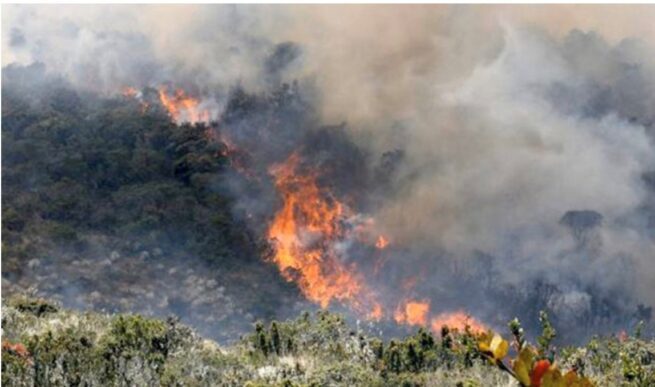 Defensor del Pueblo pide a alcaldes y gobernadores reforzar medidas para prevenir incendios forestales