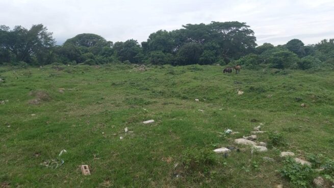 Cerca de 80.000 familias campesinas recibirán 800.000 hectáreas de tierra fértil en el 2024
