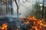 En el Cesar también están en alerta por los incendios forestales