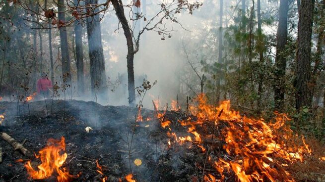 En el Cesar también están en alerta por los incendios forestales