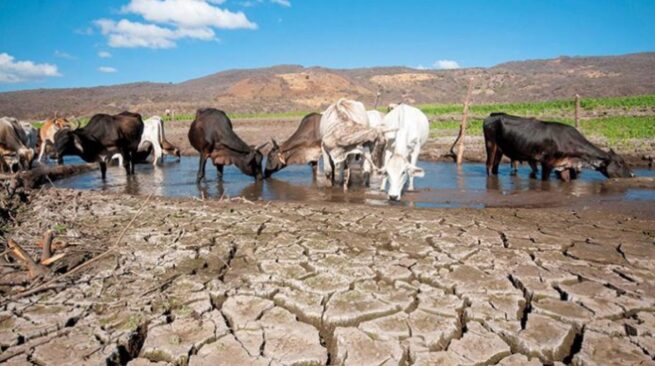 Sala de Crisis Nacional y apoyo a los territorios, instrucción de presidente Petro en nueva fase del fenómeno de El Niño