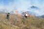 Procuradora solicitó a las autoridades, acelerar logística para atender emergencia por incendios forestales en el país