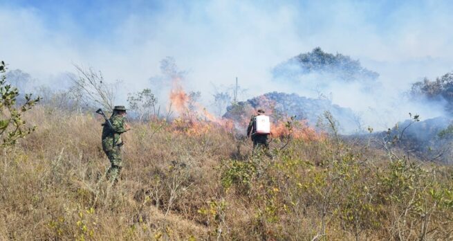 Procuradora solicitó a las autoridades, acelerar logística para atender emergencia por incendios forestales en el país