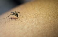 Aumento del dengue en Sudamérica impulsa campaña de vacunación, agota repelentes