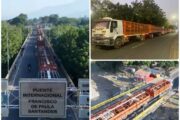 El ICA certifica exportación de 203 bovinos a Venezuela