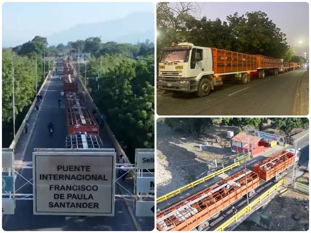 El ICA certifica exportación de 203 bovinos a Venezuela