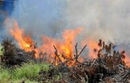 En La Guajira prohíben las quemas abiertas controladas en zonas rurales del departamento