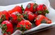 ¿El moho en los alimentos es dañino para la salud?
