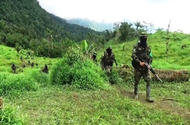 Combates entre grupos armados en La Guajira obligaron a 80 familias de comunidad indígena a desplazarse