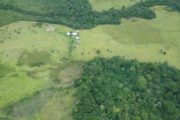 Se amplía plazo para participar en las convocatorias de Regalías por el Ambiente