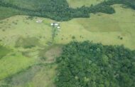 Se amplía plazo para participar en las convocatorias de Regalías por el Ambiente