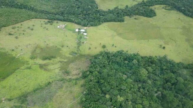 Se amplía plazo para participar en las convocatorias de Regalías por el Ambiente