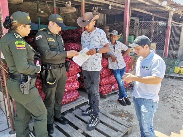 El ICA lidera medidas estratégicas para evitar el contrabando de cebolla roja en el país