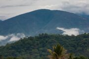 Sierra Nevada de Santa Marta, primer sitio del mundo con aves exclusivas de la región