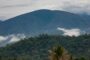 Sierra Nevada de Santa Marta, primer sitio del mundo con aves exclusivas de la región