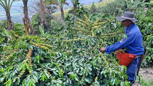 3 y 4 de abril se realizará gran Asamblea Nacional Cafetera