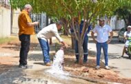 Problemática de Don Alberto es ocasionado por conexiones ilegales en Brisas de La Popa
