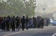 Más de 63.000 personas han muerto o desaparecido mientras emigraban en la última década, según la OIM
