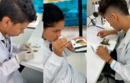 Estudio de insectos en el Cesar, un área casi inexplorada por la ciencia