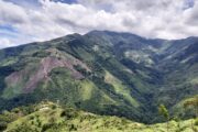 Según el paisaje, así es la forma de los escarabajos de la Serranía del Perijá