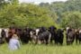 Veinte familias son desplazadas de zona rural de Chiriguaná (Cesar) por amenazas de grupo armado ilegal