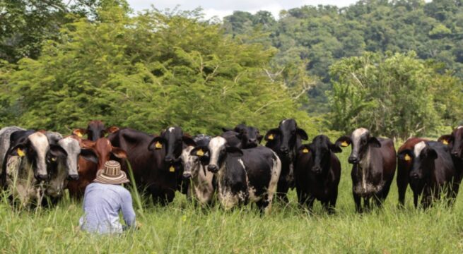 MinAgricultura responde a los retos que enfrenta el sector lechero