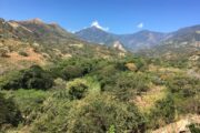 El Cesar y La Guajira se verán beneficiados con el Fondo para la Biodiversidad