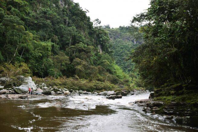 Envían recomendaciones a las CAR para proteger las fuentes de agua