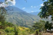 Comunidad indígena Yukpa de Iroka restaura el bosque en la Serranía del Perijá