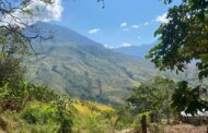 Comunidad indígena Yukpa de Iroka restaura el bosque en la Serranía del Perijá