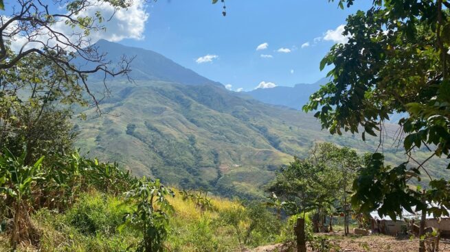 Comunidad indígena Yukpa de Iroka restaura el bosque en la Serranía del Perijá