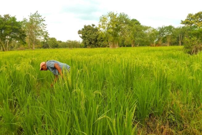 ANT y SAE firman convenio para que tierras de mafiosos pasen pronto a familias agricultoras