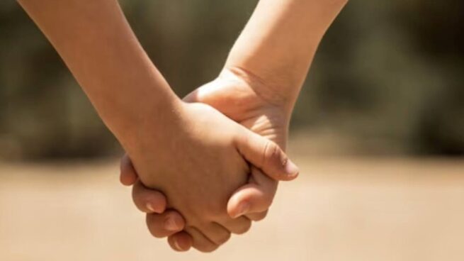 Patrimonio de familia inembargable debe incluir por igual a parejas conformadas por personas del mismo sexo: Procuradora
