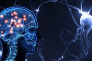 Estrategias que sí funcionan para mantener una memoria óptima, según neurocientífica
