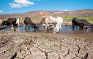 Procuraduría revisa si se prepararon las autoridades del sector agro y las CAR para el Fenómeno del Niño