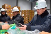 En 2024 se han incautado más de 315 toneladas de clorhidrato de cocaína, 128 toneladas de cocaína y 230 toneladas de marihuana